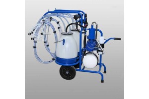 Καρότσι Τεσσάρων Προβάτων Interpuls 02K13 Καρότσι Τεσσάρων Προβάτων Interpuls 02K13