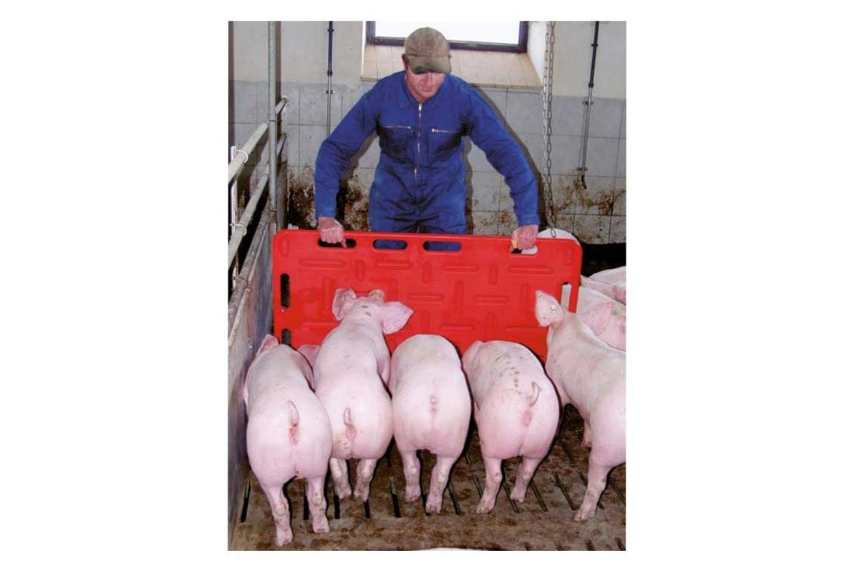 Χώρισμα Στάβλου, Πλαστικό 15K58 Χώρισμα Στάβλου, Πλαστικό 15K58