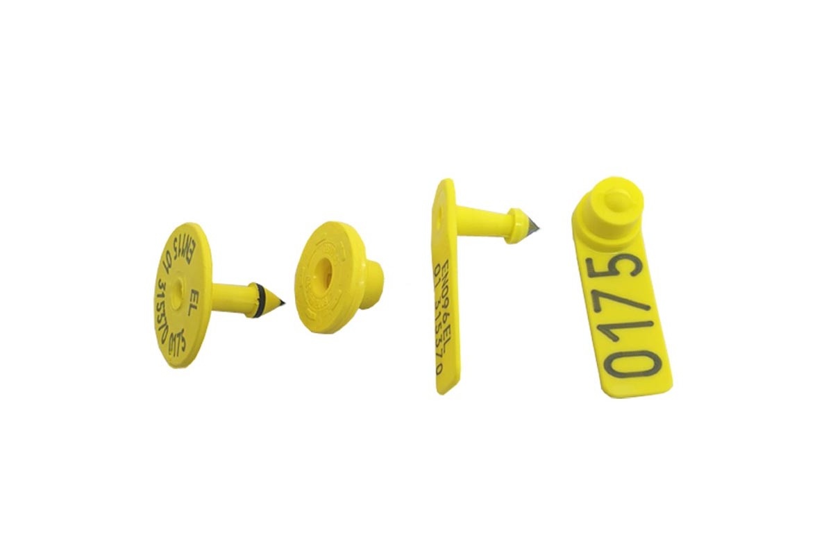 Ηλεκτρονικό Ενώτιο Σχήμα Γ & τύπου 1Β Σετ 20K79