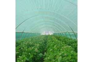 Δίχτυ Σκίασης Ντομάτας Ε30 Πράσινο 2x100 Δίχτυ Σκίασης Ντομάτας Ε30 Πράσινο 2x100