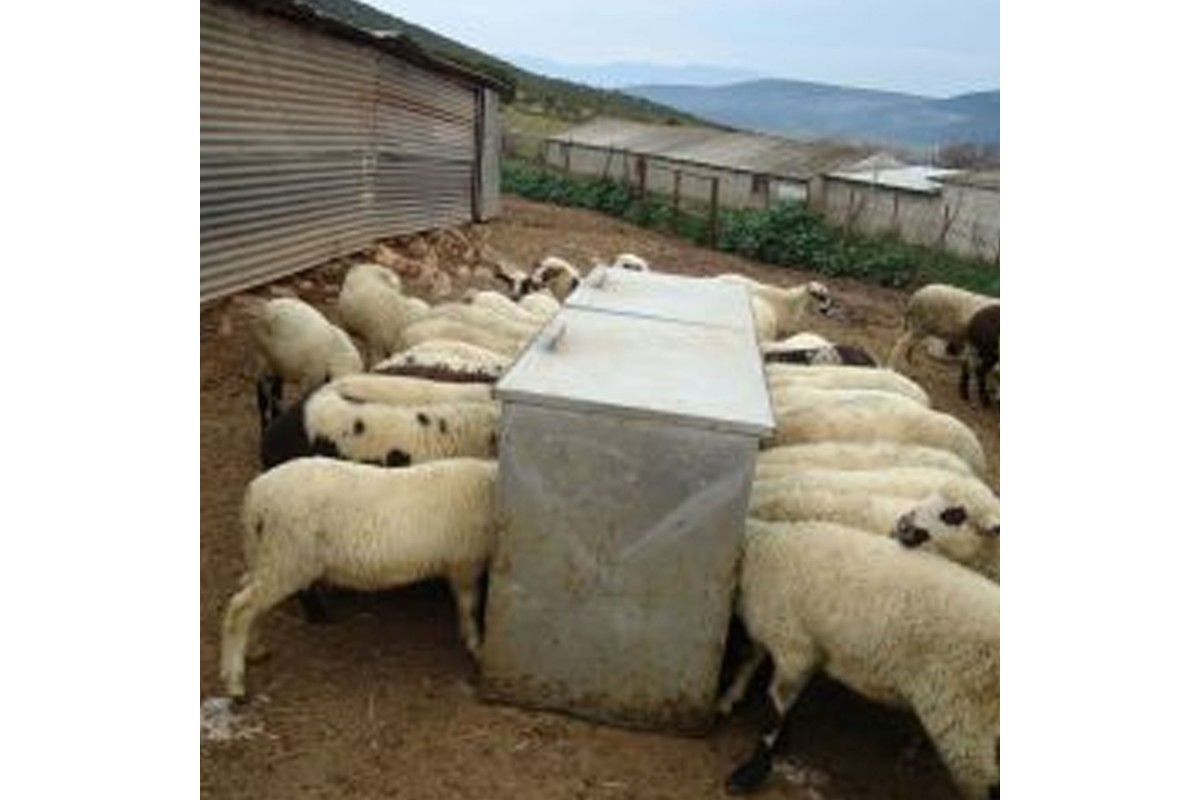 Ταΐστρα Καρπού Συνεχούς Ροής Ταΐστρα Καρπού Συνεχούς Ροής