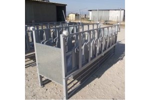 Παχνί αμφίπλευρο με εγκλωβισμό Παχνί αμφίπλευρο με εγκλωβισμό