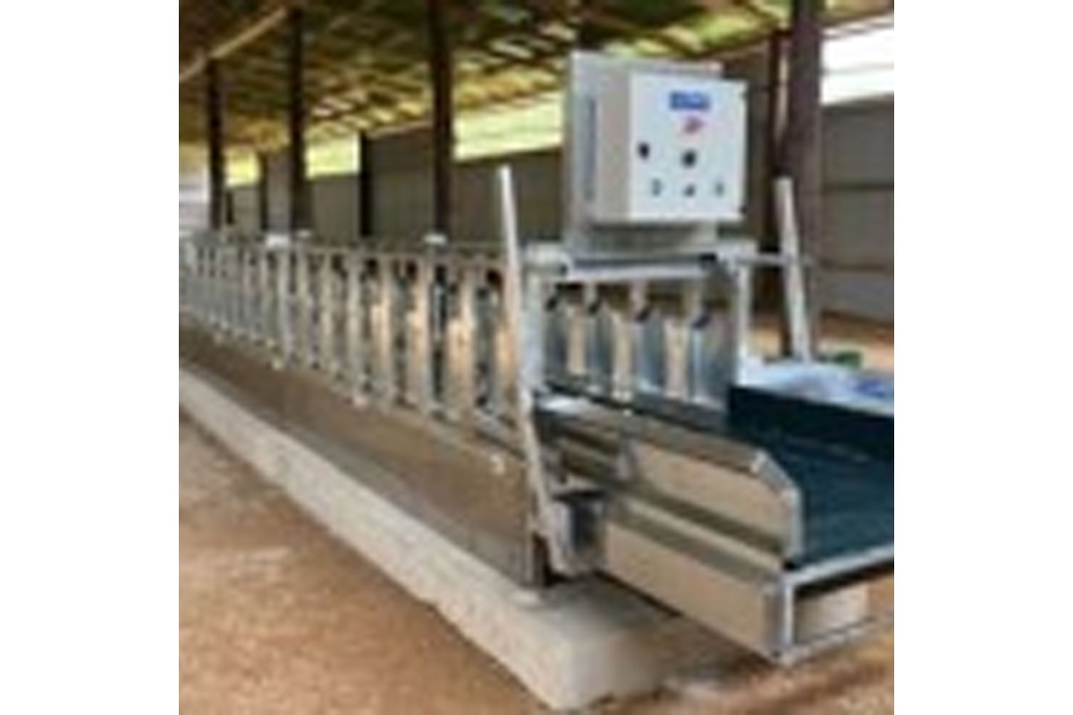 Ταινία τροφής γαλβανιζέ εν θερμώ με εγκλωβισμό 60 εκατοστών Ταινία τροφής γαλβανιζέ εν θερμώ με εγκλωβισμό 60 εκατοστών