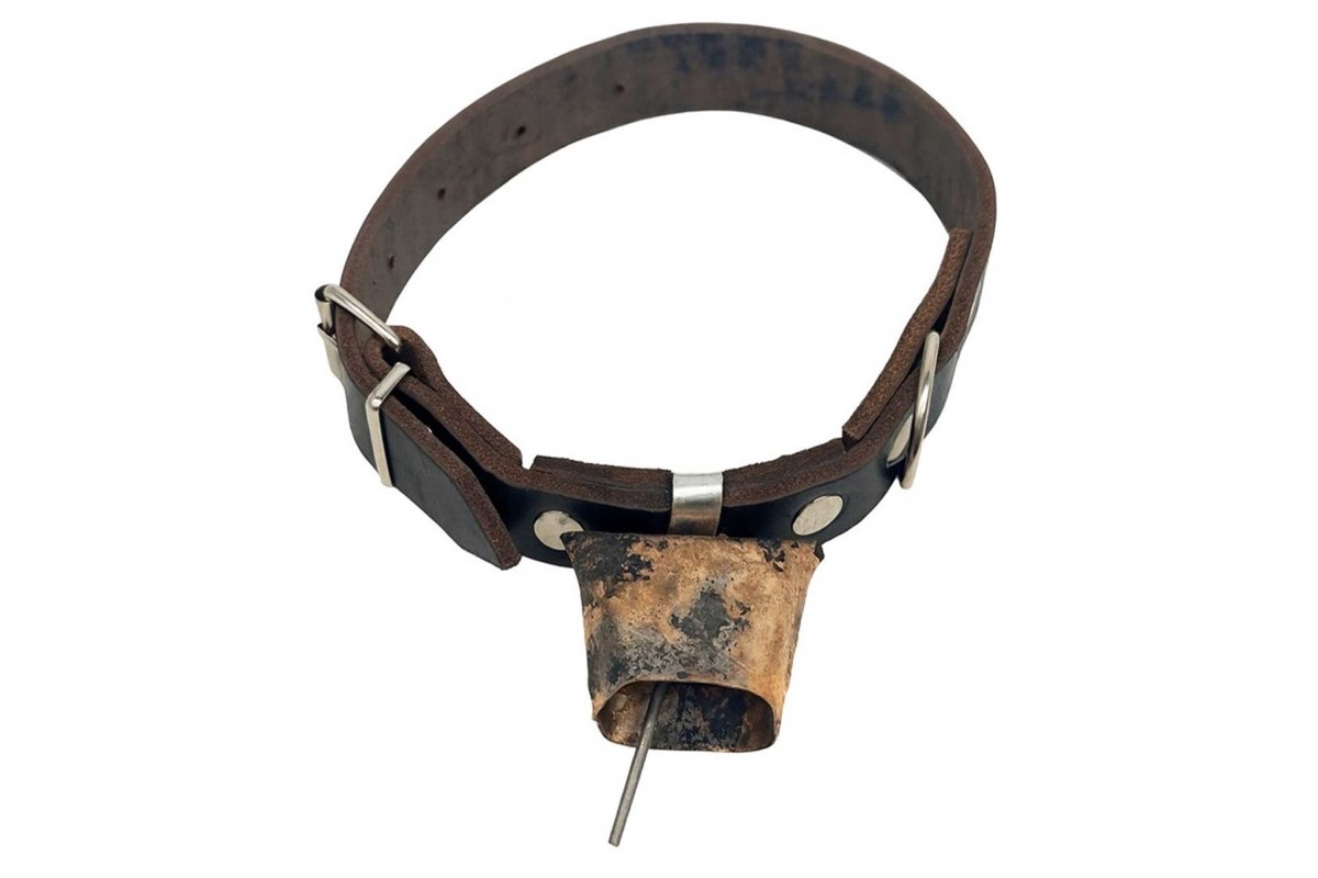 Περιλαίμιο δερμάτινο σκύλων 2.5X51cm με τράκα n.1 Περιλαίμιο δερμάτινο σκύλων 2.5X51cm με τράκα n.1